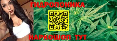 ГАЛЛЮЦИНОГЕННЫЕ ГРИБЫ Изобильный